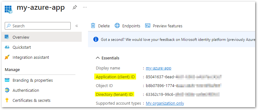 Application (client) ID and Directory (tenant) ID of your new app registration
